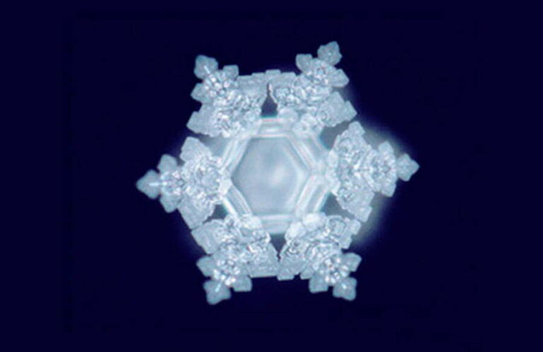 Masaru Emoto