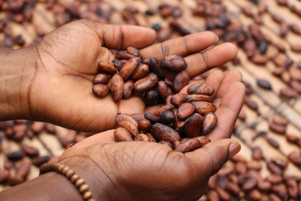 cacao para mejorar la memoria